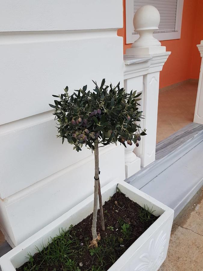 Villa Nicolaos Ksamil Dış mekan fotoğraf